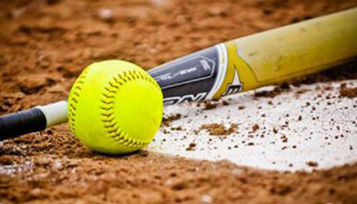 Softball Queensland new partnership approach