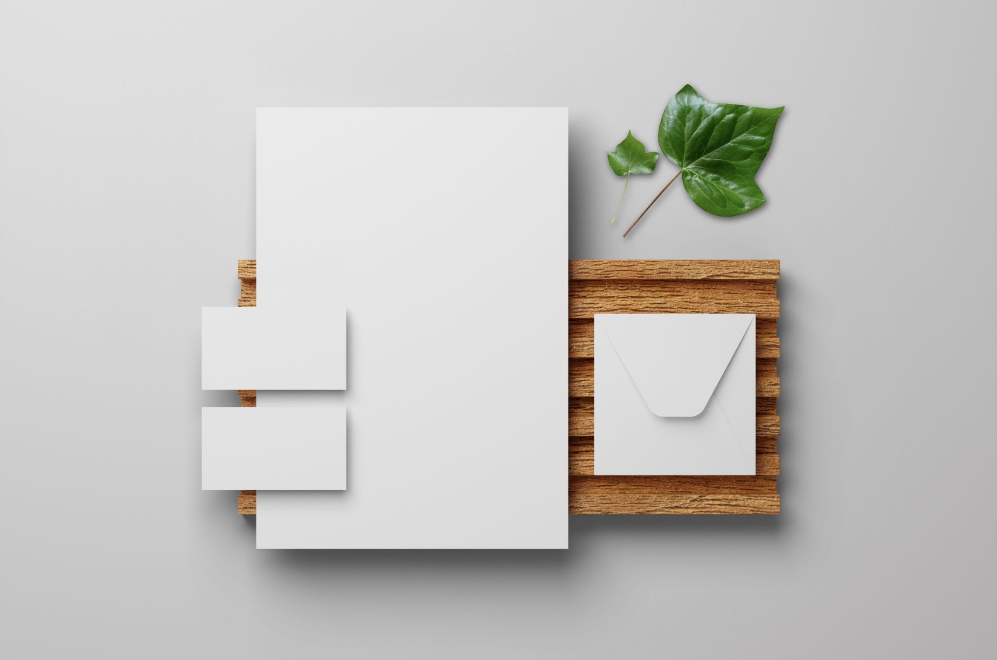 School brand resource guide with logo usage guidelines and colour specifications